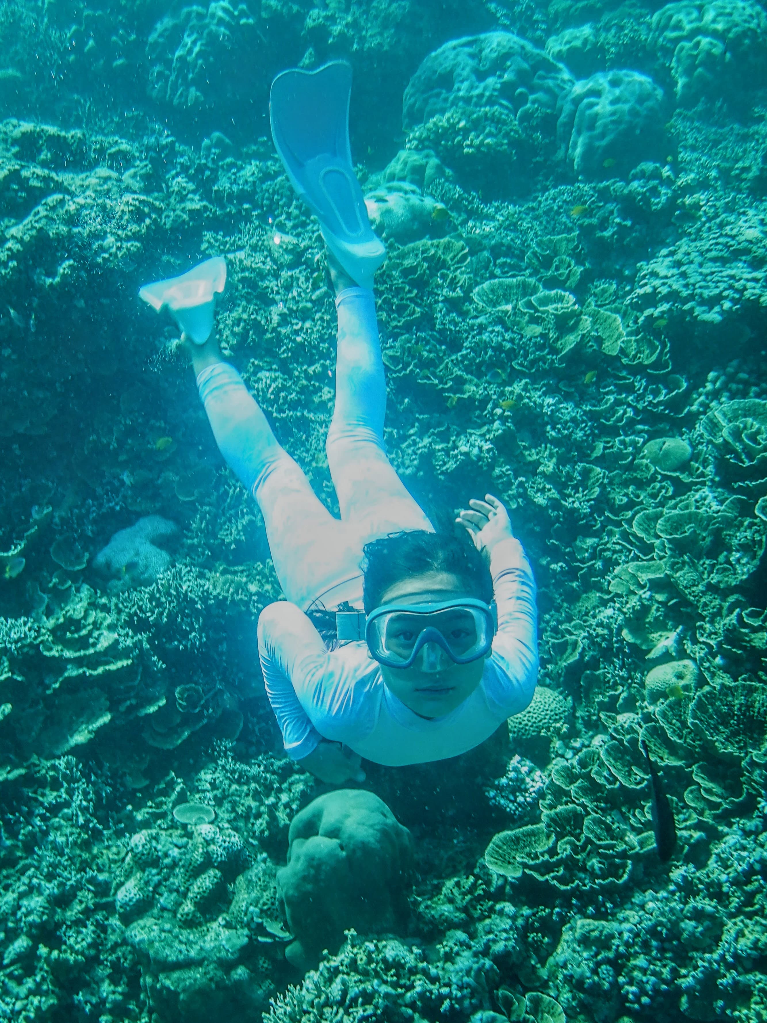 Snorkeling over vibrant coral