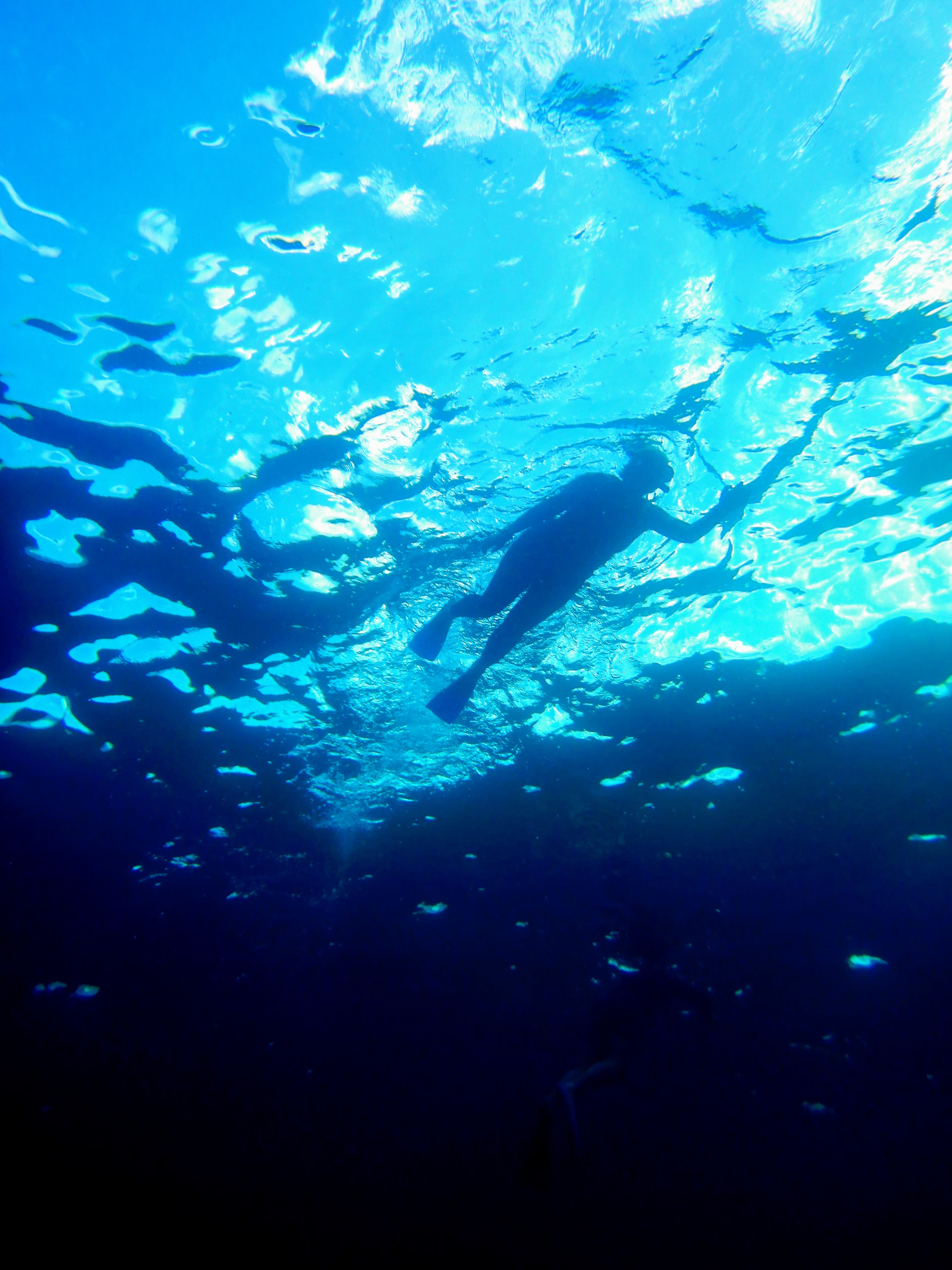 Silhouette of a swimmer seen from below, light filtering through the surface