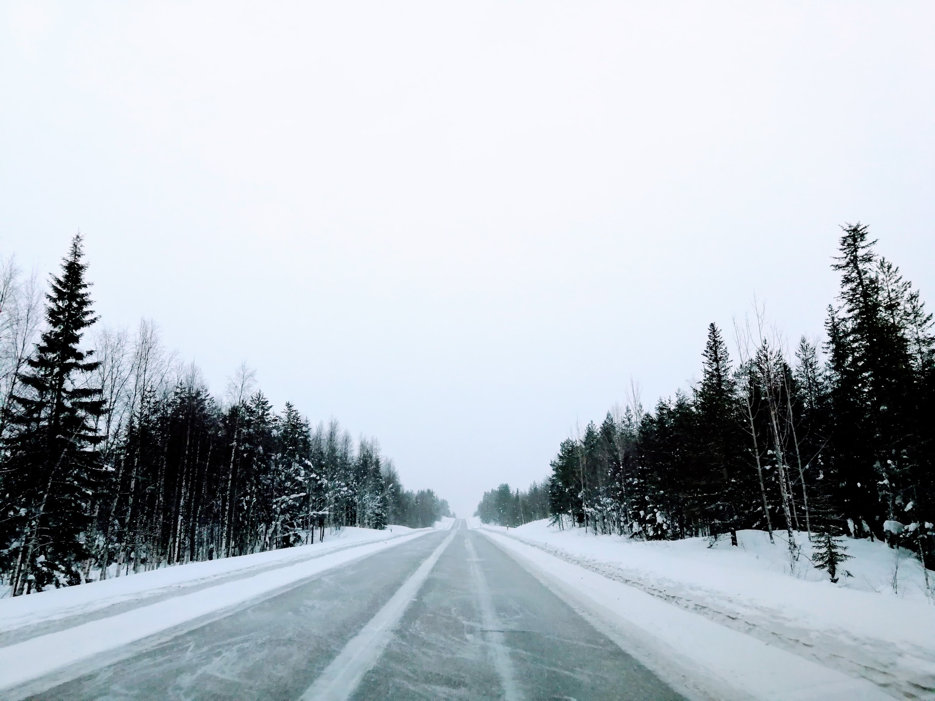 Arctic Road