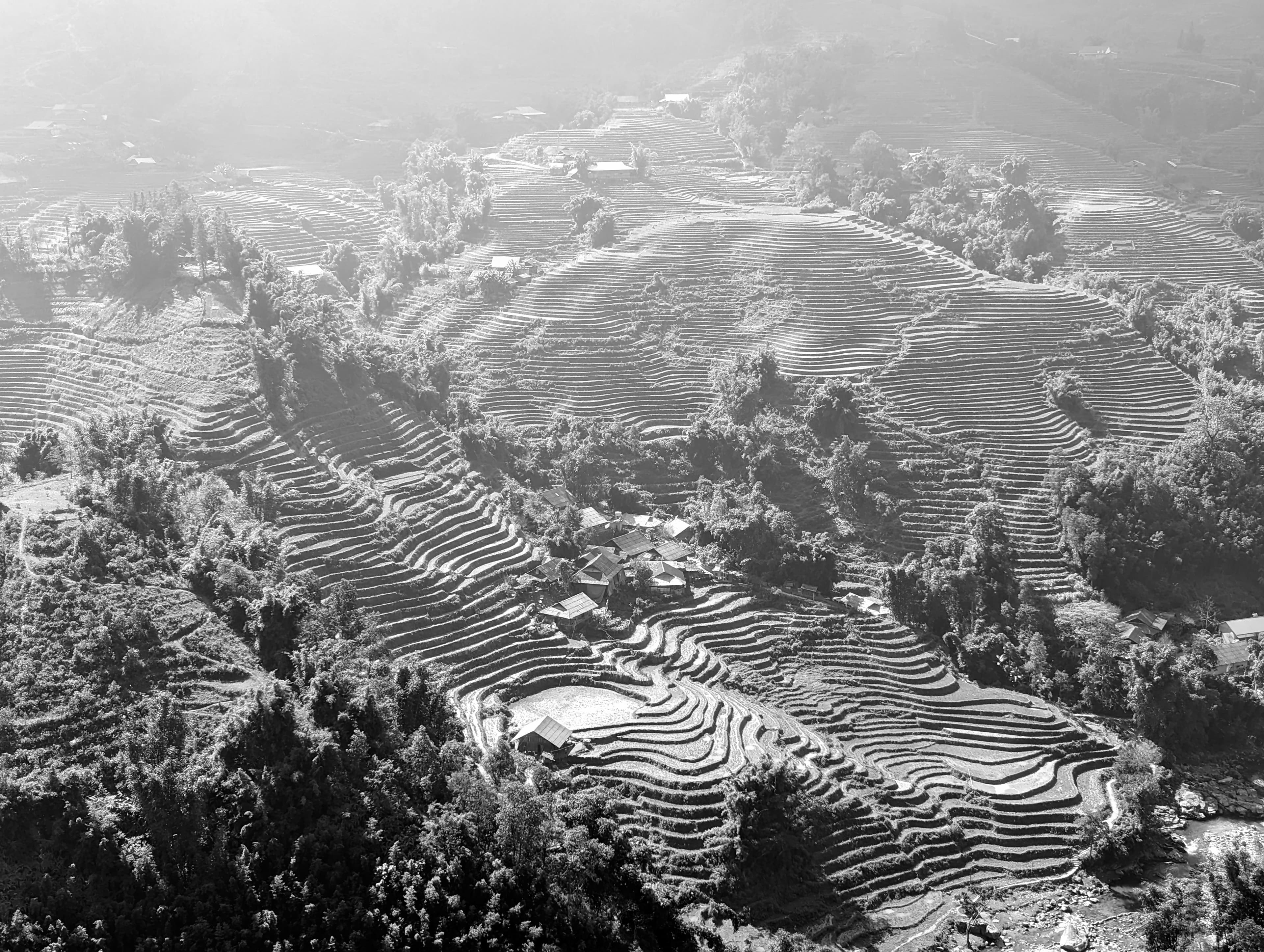 Terraces in the Mist