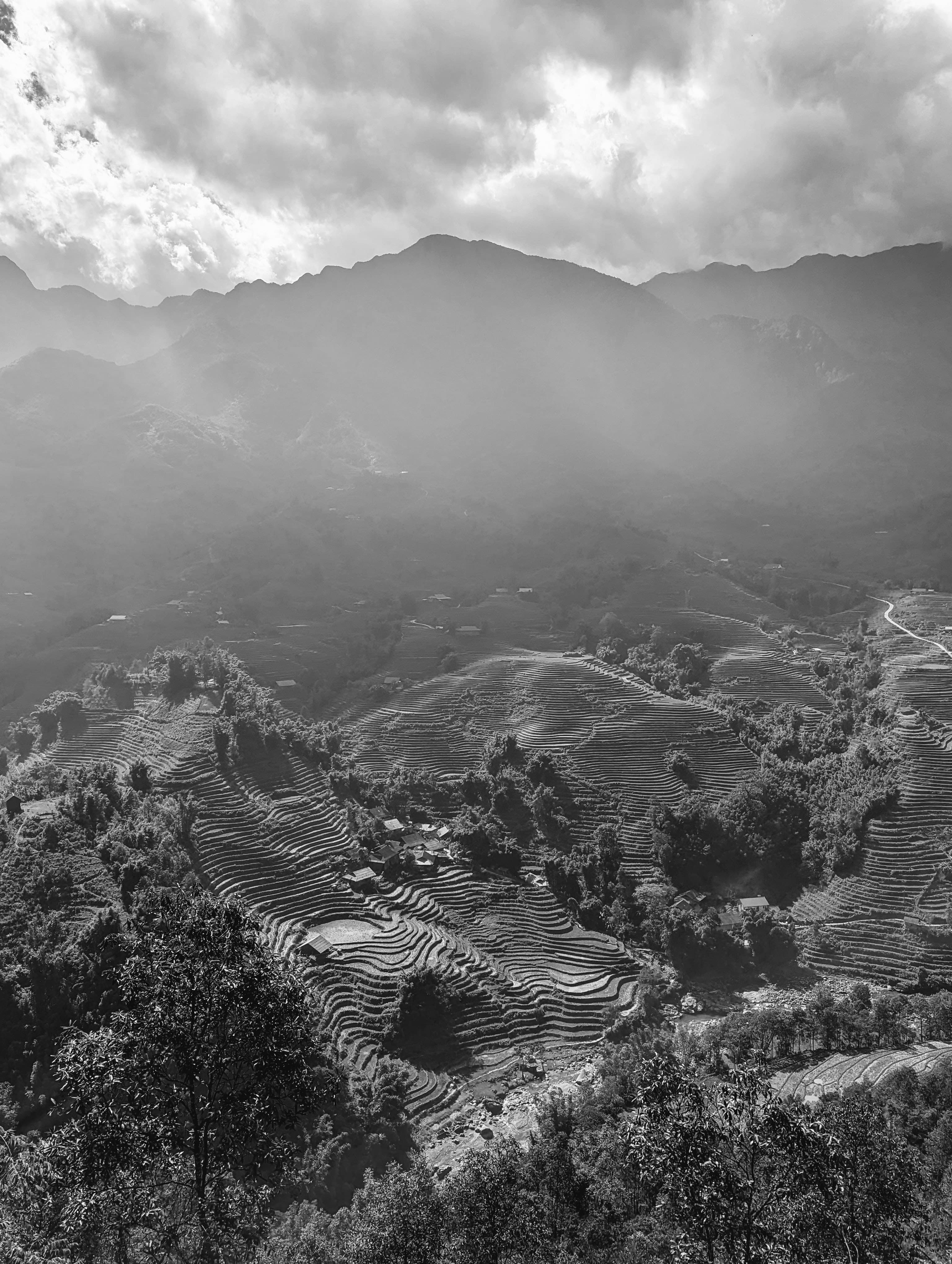 Rice Terraces from Above