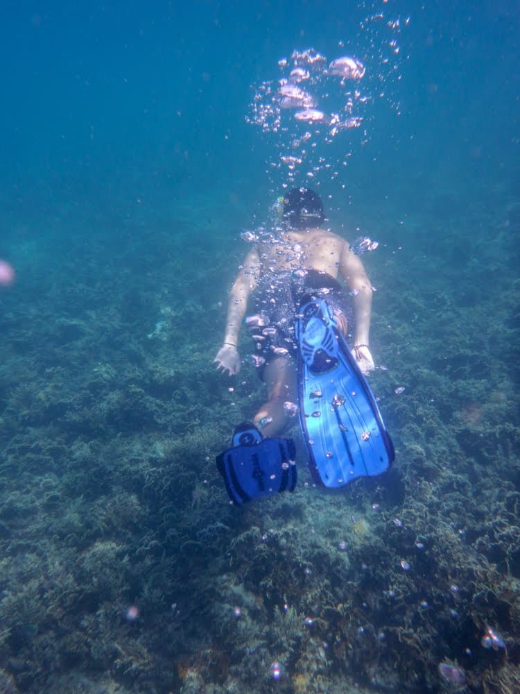 Son freediving over a grassy seabed