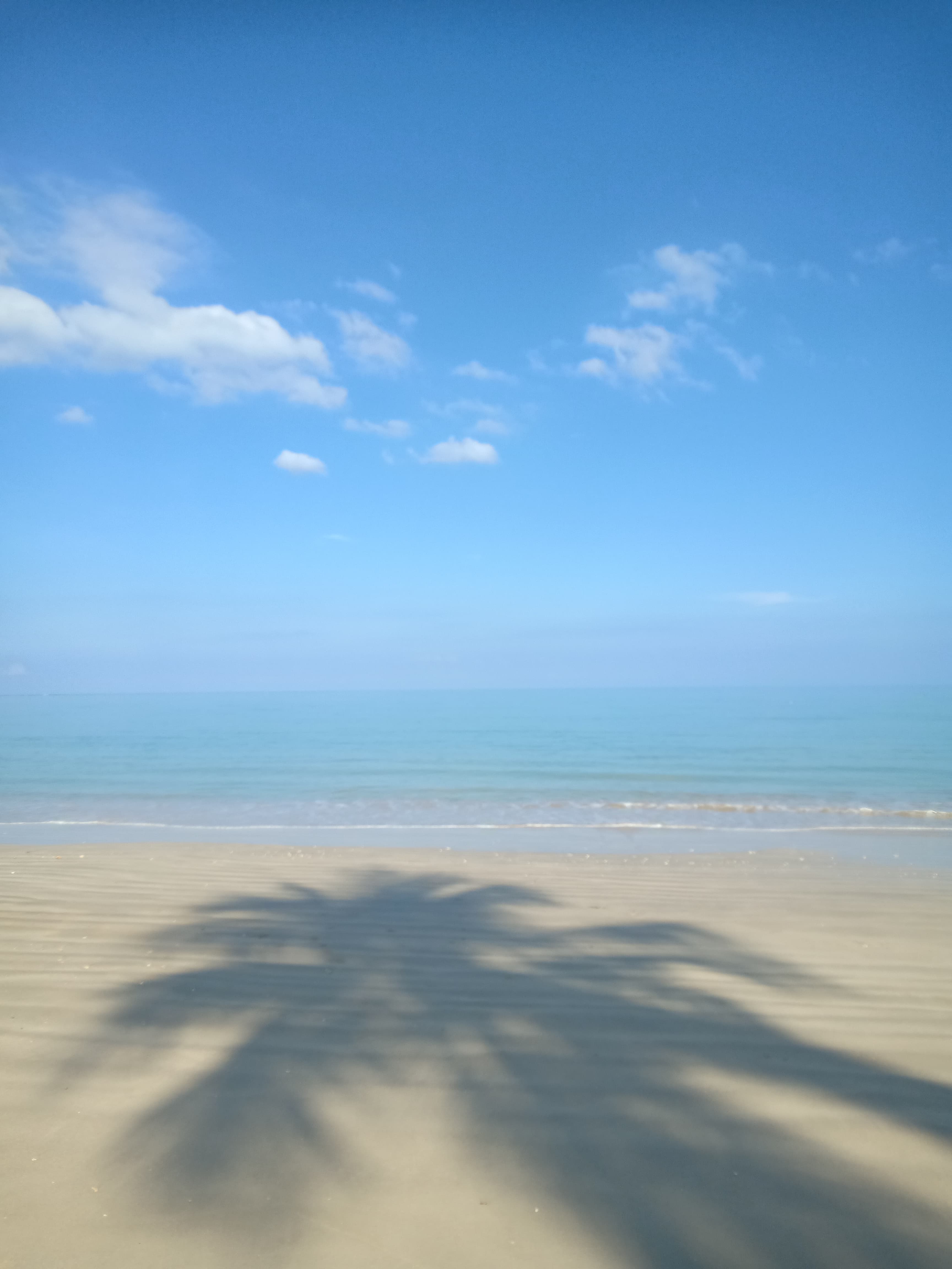 Palm tree shadow on a white sand beach